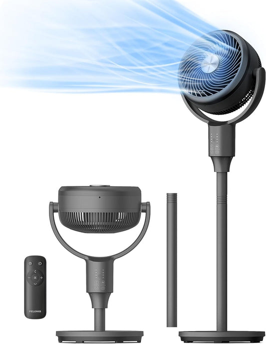 F1 Air Circulation Fan