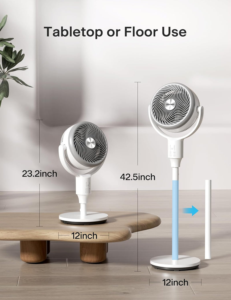 F1 Air Circulation Fan