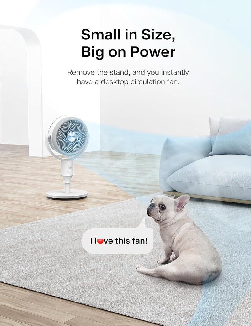 F1 Air Circulation Fan